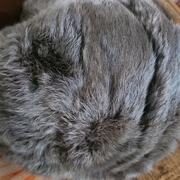 VINTAGE Rabbit fur hat - Picture 2 of 6